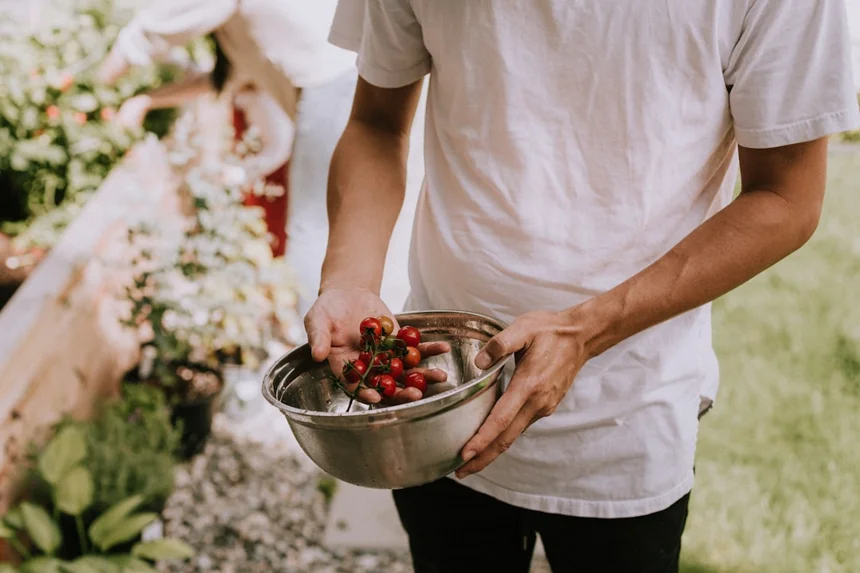 Chef