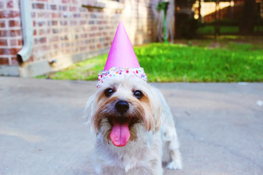 birthday