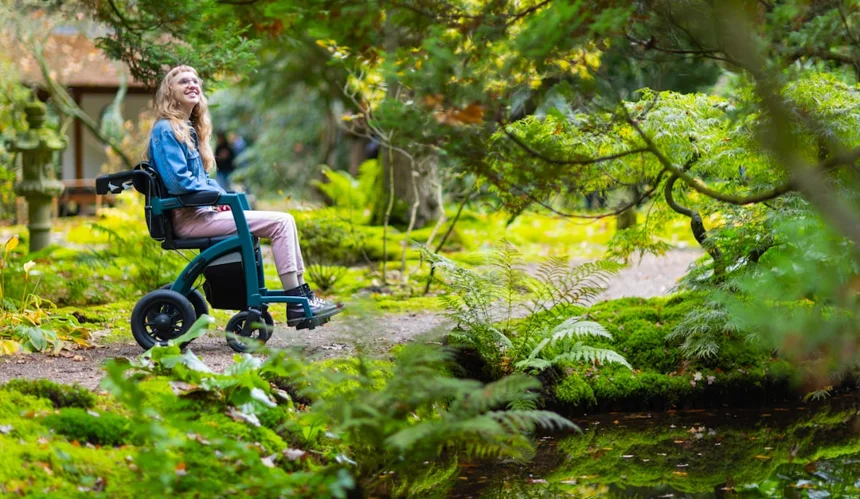 disability