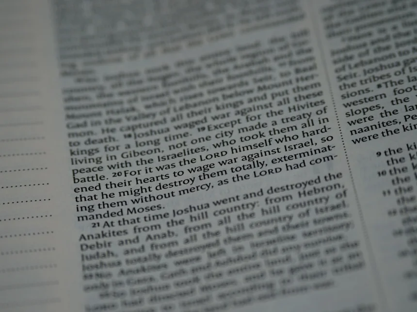 Allegation