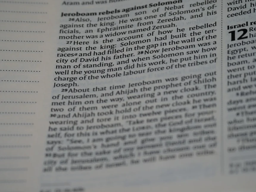 Allegation