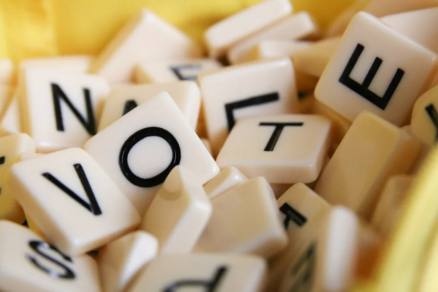 사전투표 (early voting)